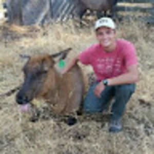 Meet your Posher, Max